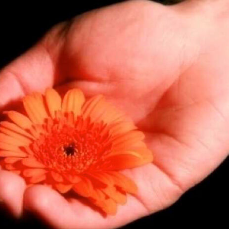 Geben ist seliger denn Nehmen