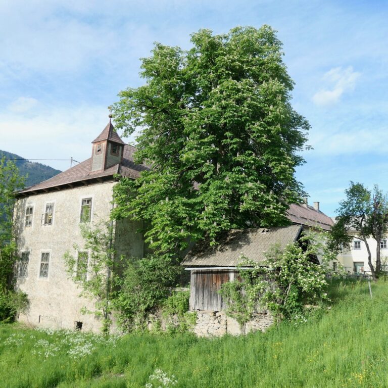 282213069_1798151337045998_4129456757660806761_n